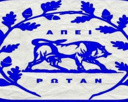 ΑΝΑΚΟΙΝΩΣΗ ΔΙΟΙΚΗΤΙΚΟΥ ΣΥΜΒΟΥΛΙΟΥ ΤΟΥ ΕΡΑΣΙΤΕΧΝΗ ΠΑΣ ΓΙΑΝΝΙΝΑ